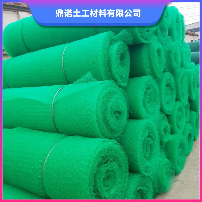 三维植被网渗排水片材就近发货