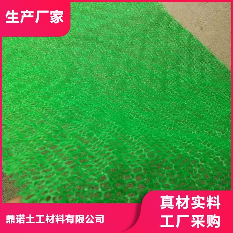 【三维植被网】三维复合排水网长期供应