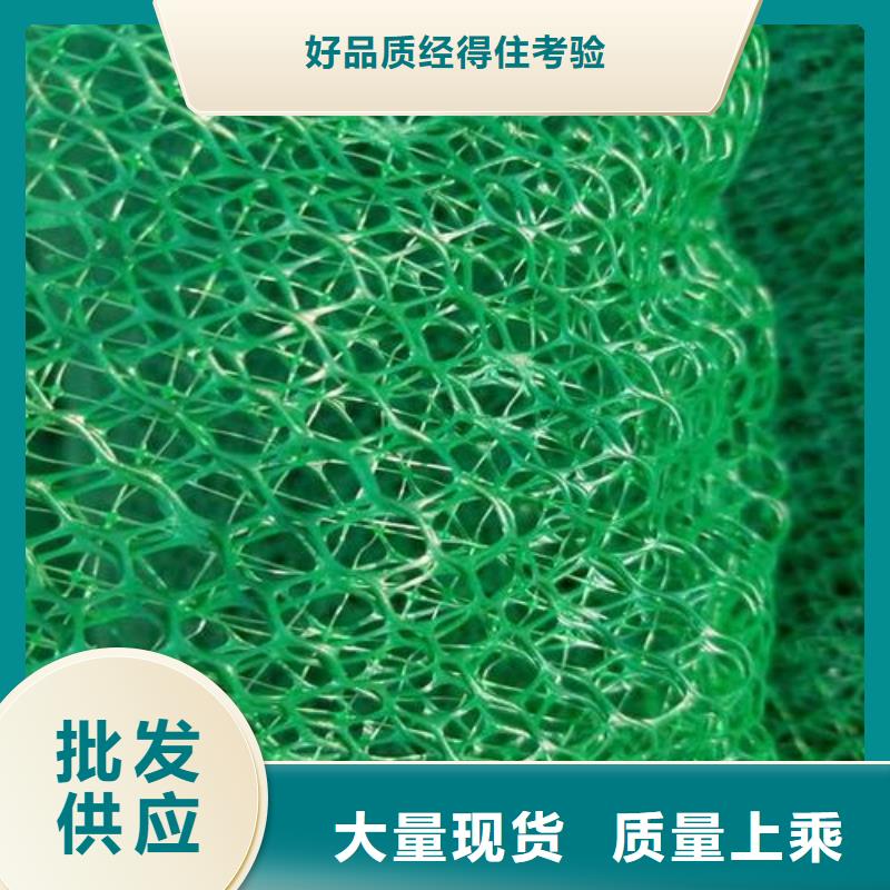 绿色三维网生产三维植被网生产