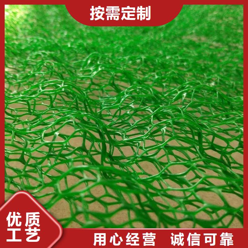 三维植被网玻纤土工格栅品质可靠