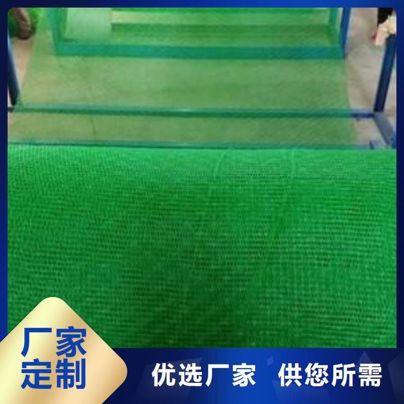 三维植被网渗排水片材就近发货
