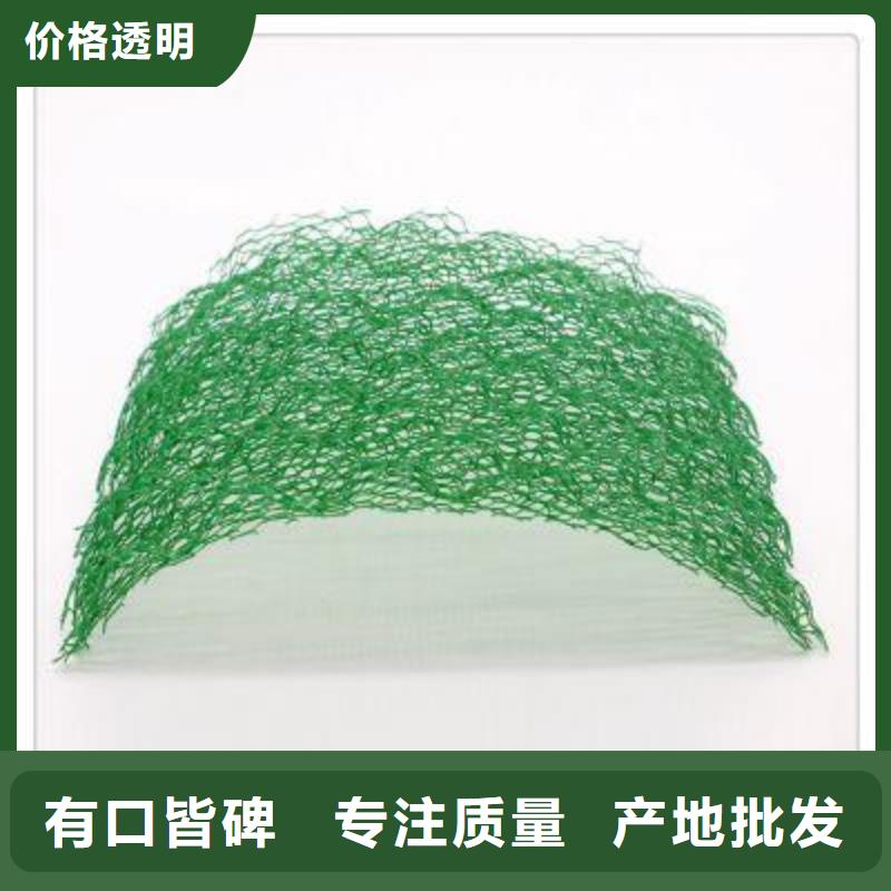 三维植被网玻纤土工格栅品质可靠