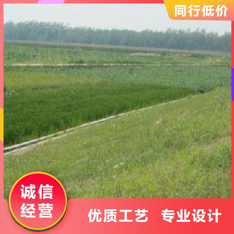 三维植被网水土保护毯厂家品控严格
