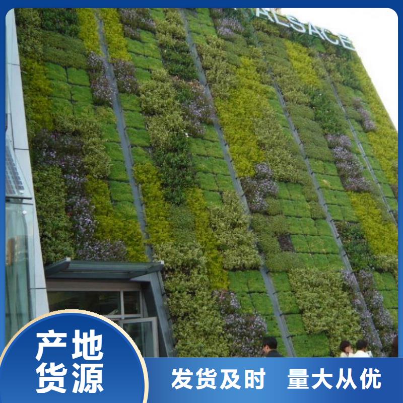 三维植被网三维复合排水网出厂价