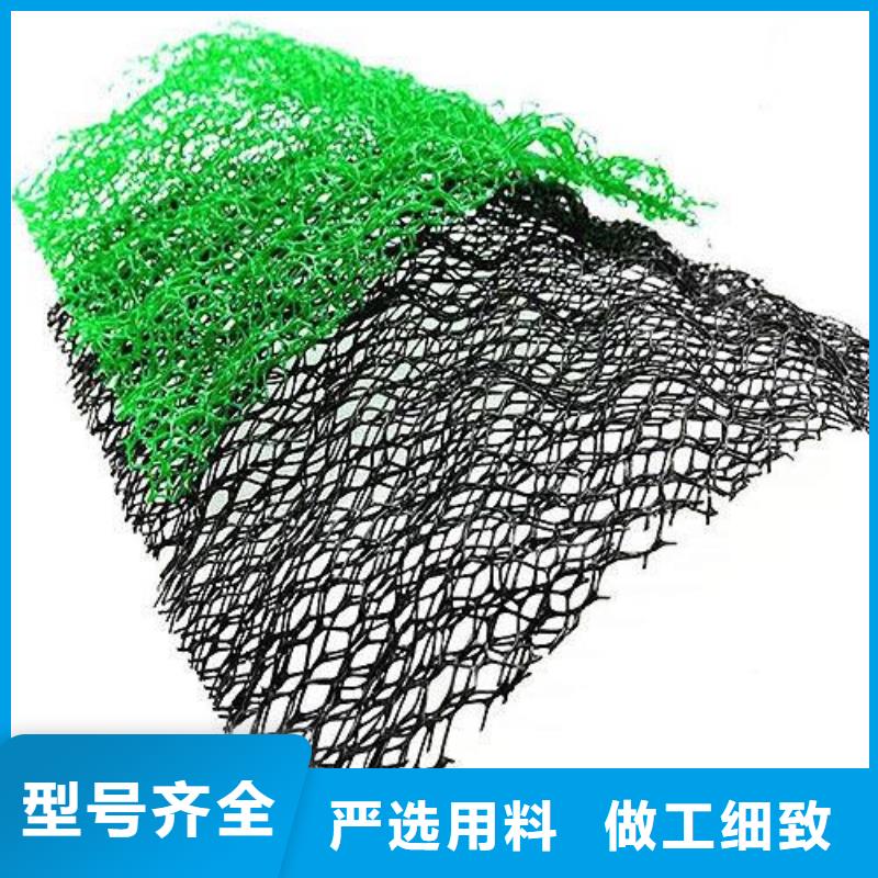 三维植被网渗排水片材就近发货