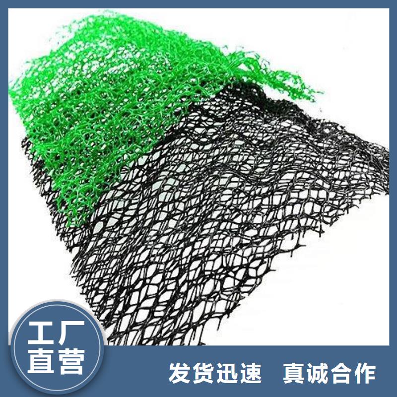三维植被网水土保护毯厂家品控严格
