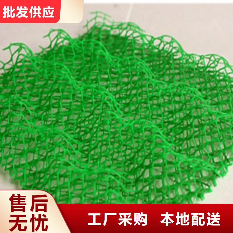 【三维植被网】三维复合排水网长期供应