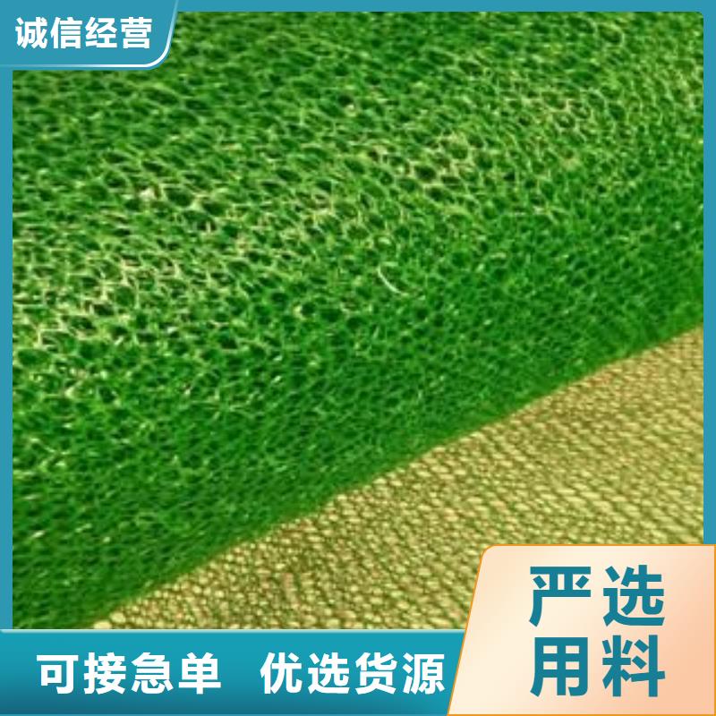 三维植被网_长丝土工布信誉至上