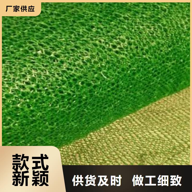三维植被网三维复合排水网出厂价