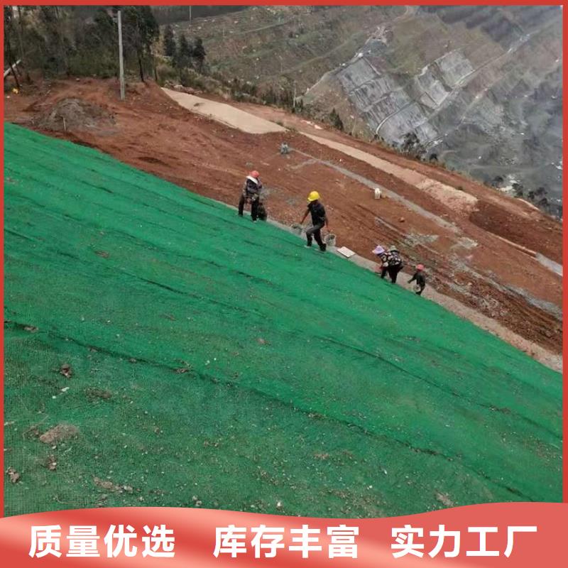 三维植被网玻纤土工格栅品质可靠