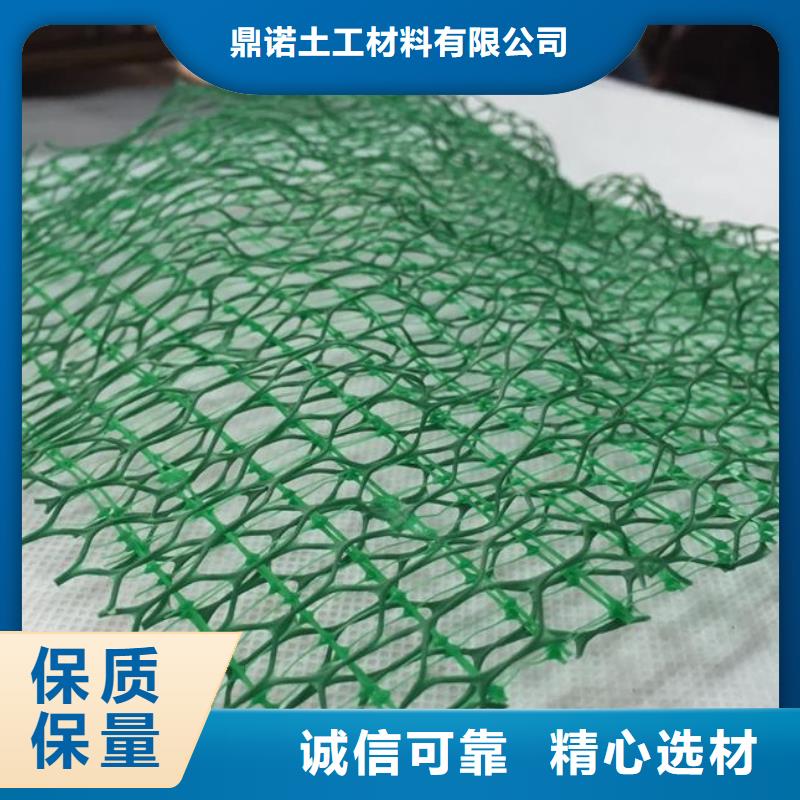 【三维植被网】三维复合排水网长期供应