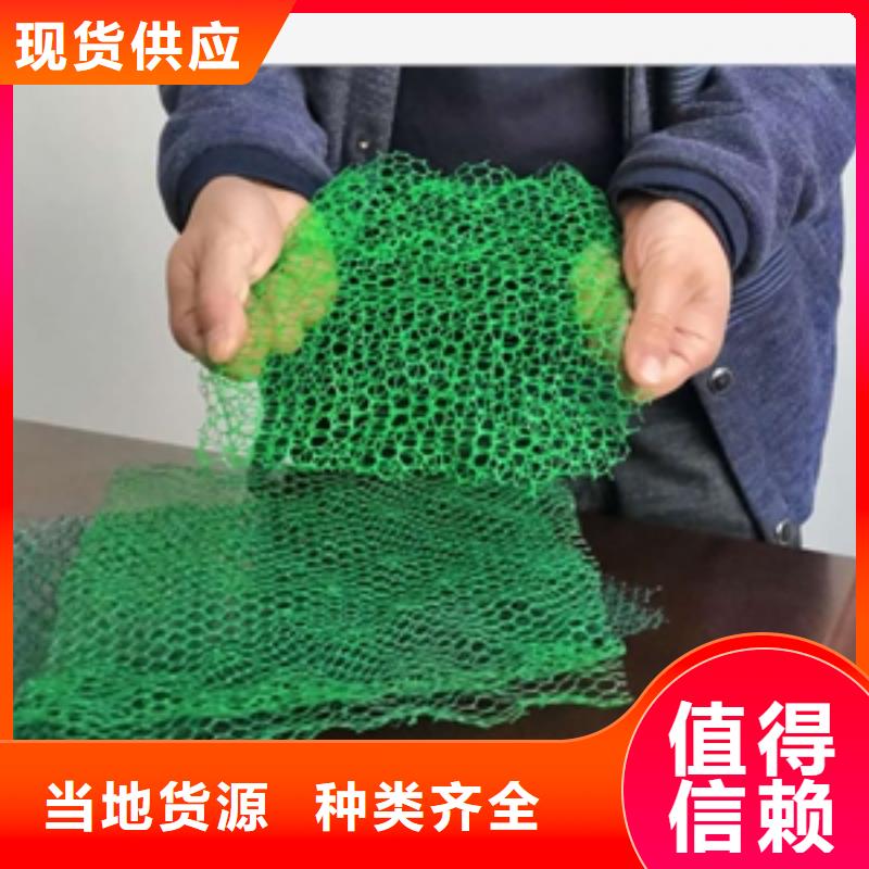 三维植被网渗排水片材就近发货