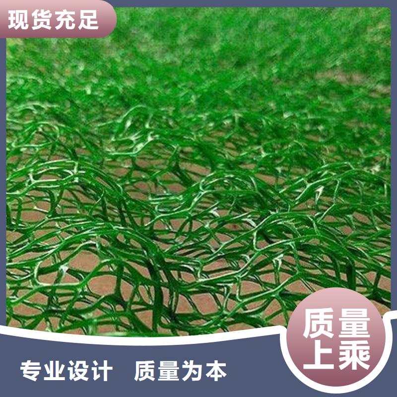 三维植被网渗排水片材就近发货