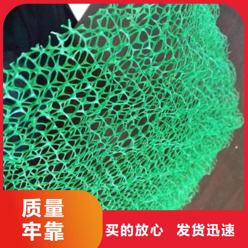 三维植被网水土保护毯厂家品控严格