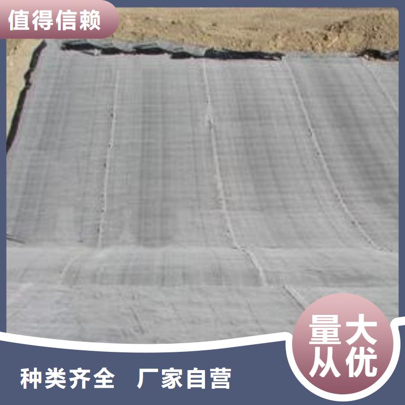 膨润土防水毯玻纤土工格栅产地直销