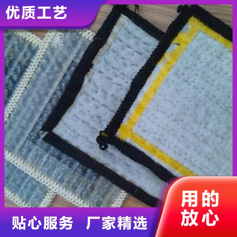 膨润土防水毯三维复合排水网精工制作