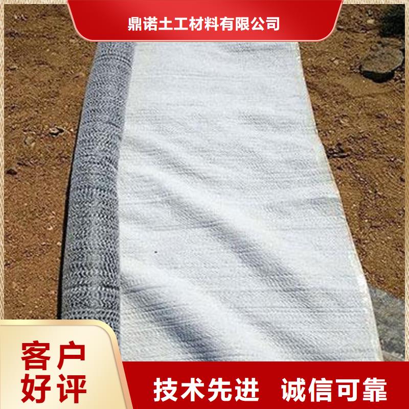 膨润土防水毯钢塑土工格栅价格实惠
