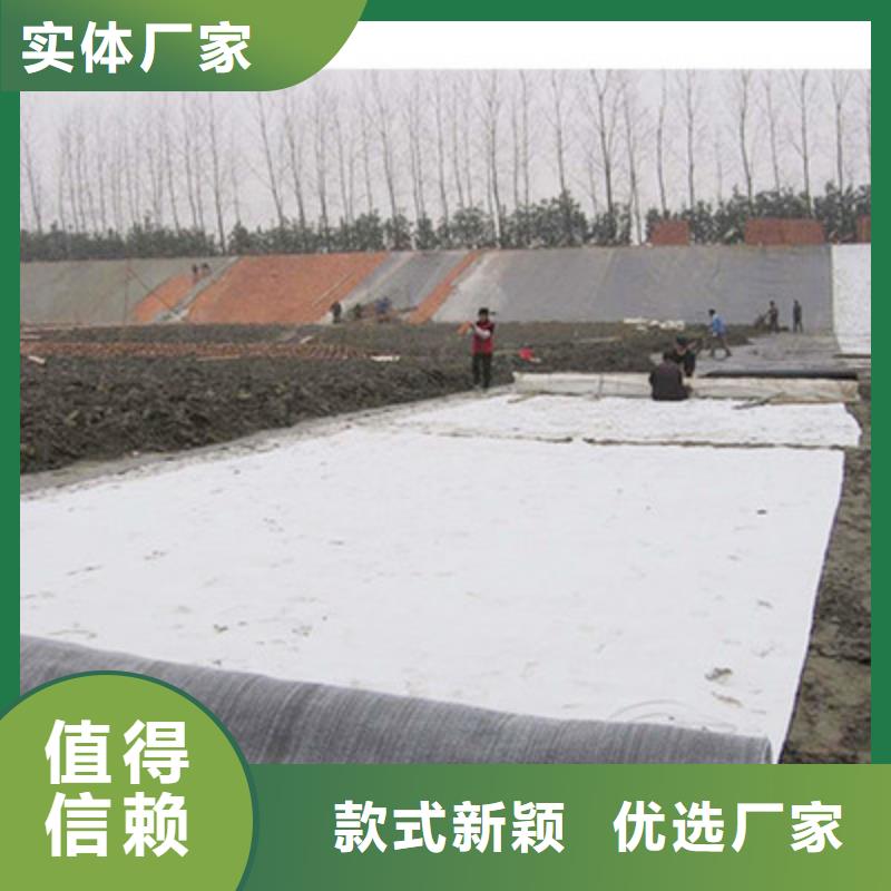 膨润土防水毯三维植被网品质不将就
