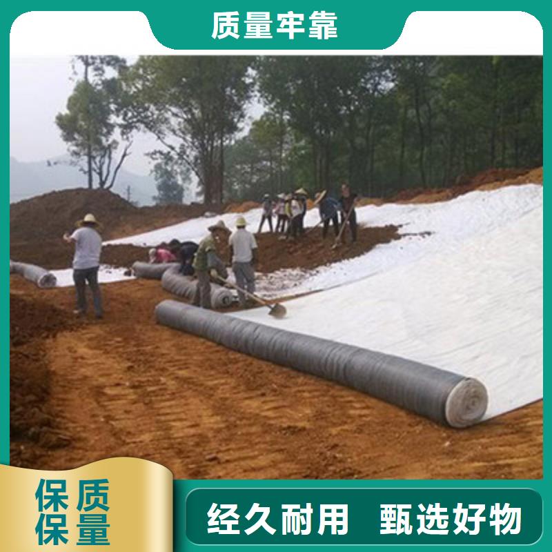 膨润土防水毯玻纤土工格栅一对一为您服务