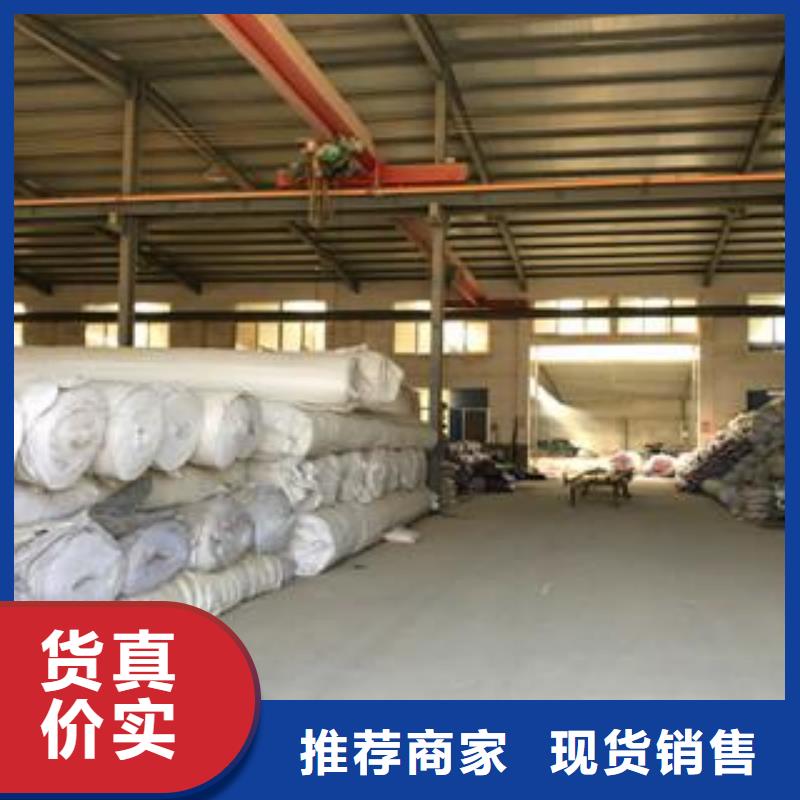 膨润土防水毯钢塑土工格栅价格实惠