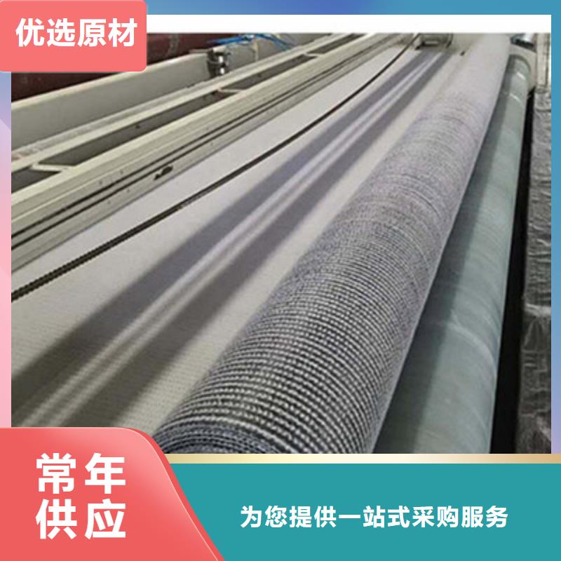 膨润土防水毯涤纶土工格栅质优价保