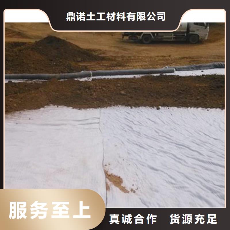 膨润土防水毯涤纶土工格栅质优价保
