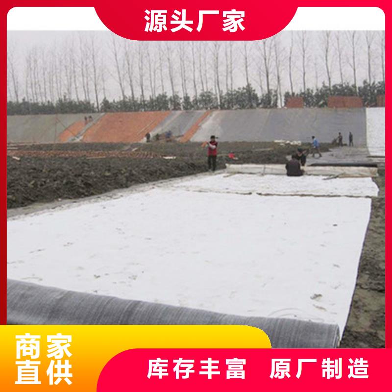 膨润土防水毯涤纶土工格栅质优价保