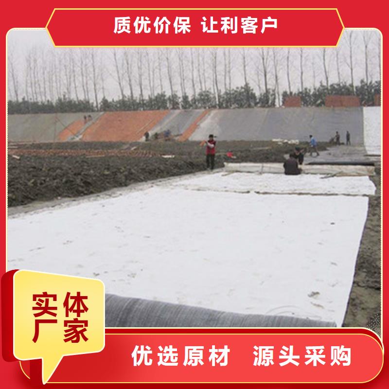 膨润土防水毯-双向拉伸土工格栅品质优选