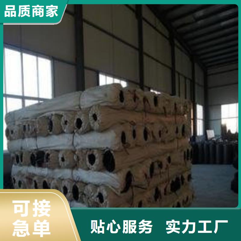 【钢塑土工格栅】土工席垫现货充足