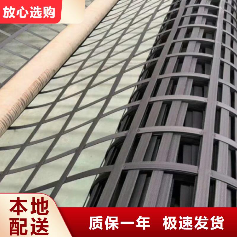 钢塑土工格栅,涤纶土工格栅现货充裕