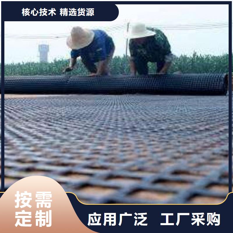 【钢塑土工格栅】土工席垫现货充足