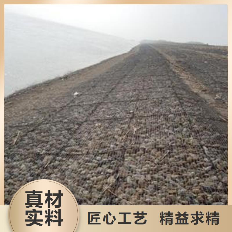 钢塑土工格栅土工膜免费寄样