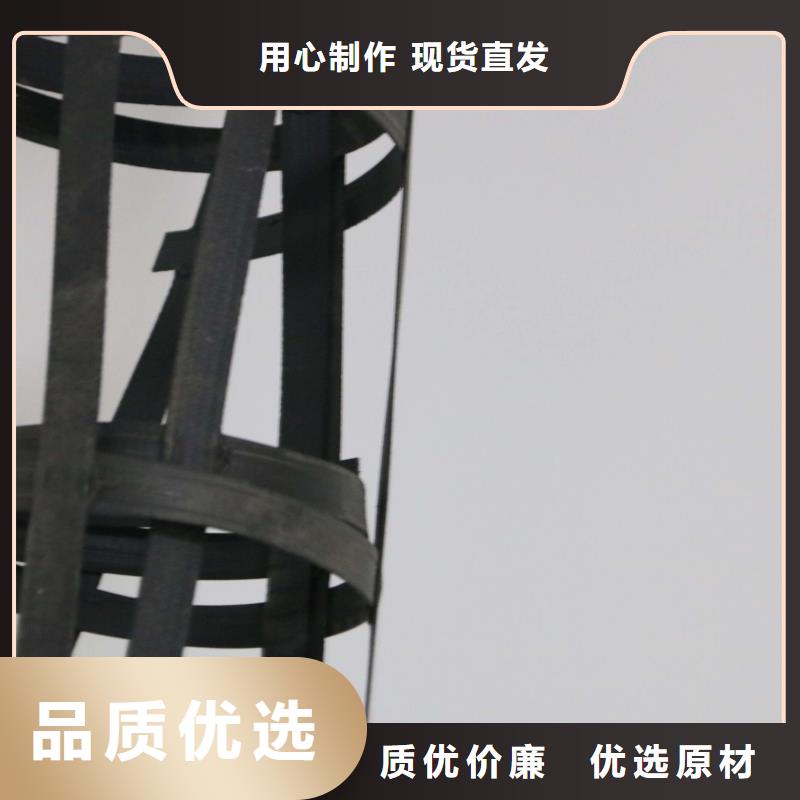钢塑土工格栅,涤纶土工格栅现货充裕