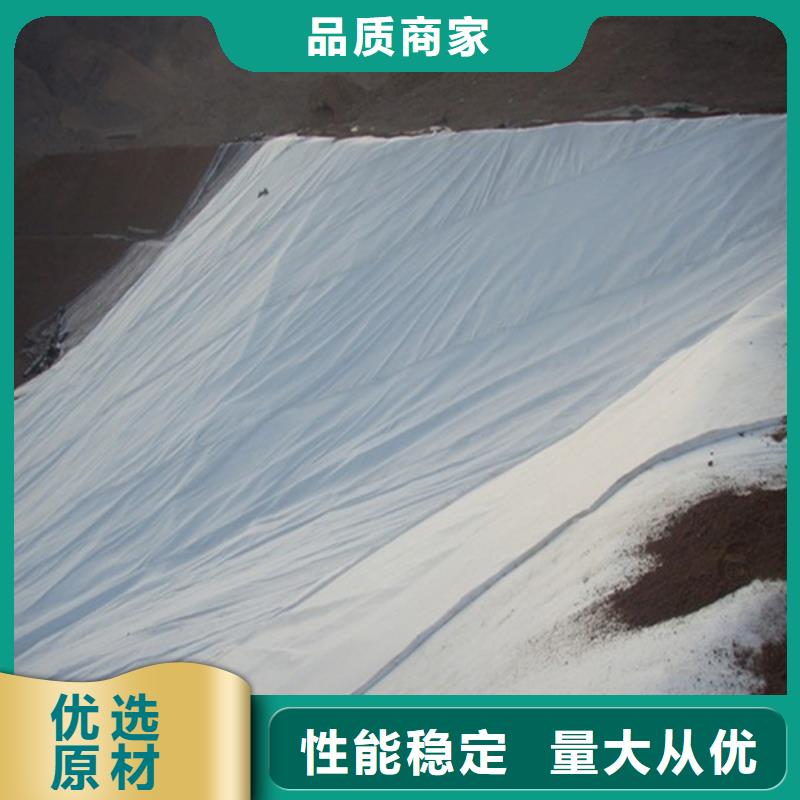 土工布三维土工网垫实力派厂家