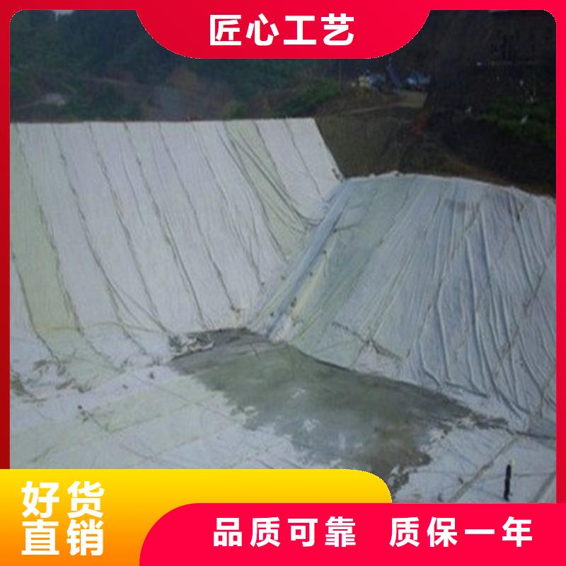 土工布凸结点钢塑土工格栅精挑细选好货