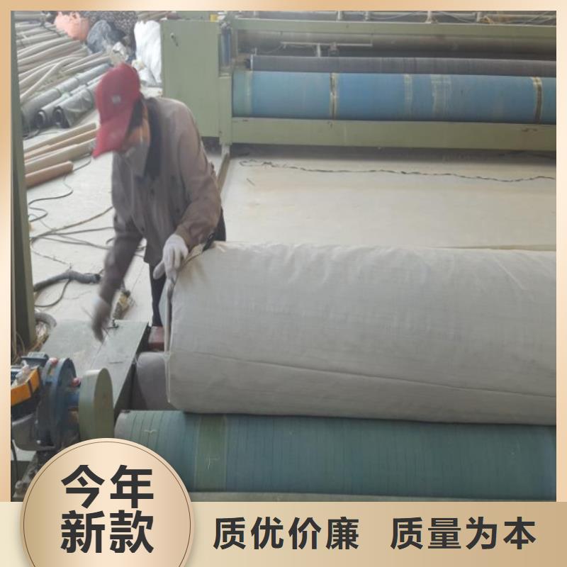 土工布凸结点钢塑土工格栅精挑细选好货