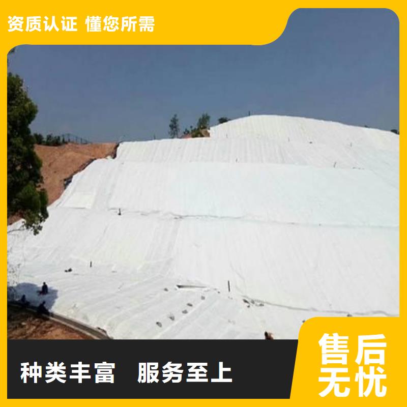 土工布,【单向塑料土工格栅】产品细节参数
