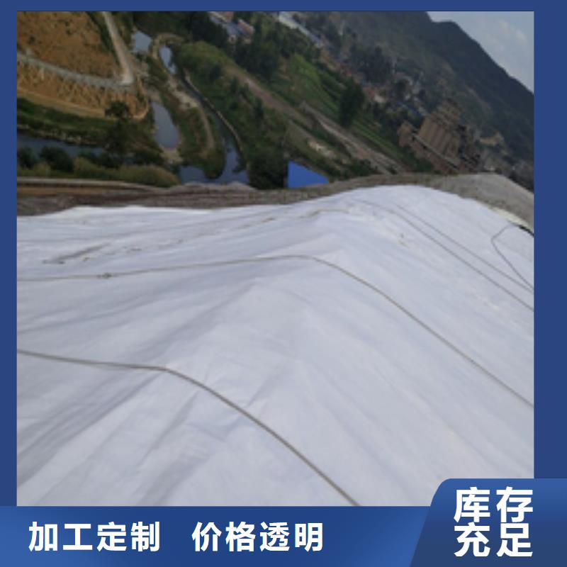 土工布三维土工网垫实力派厂家