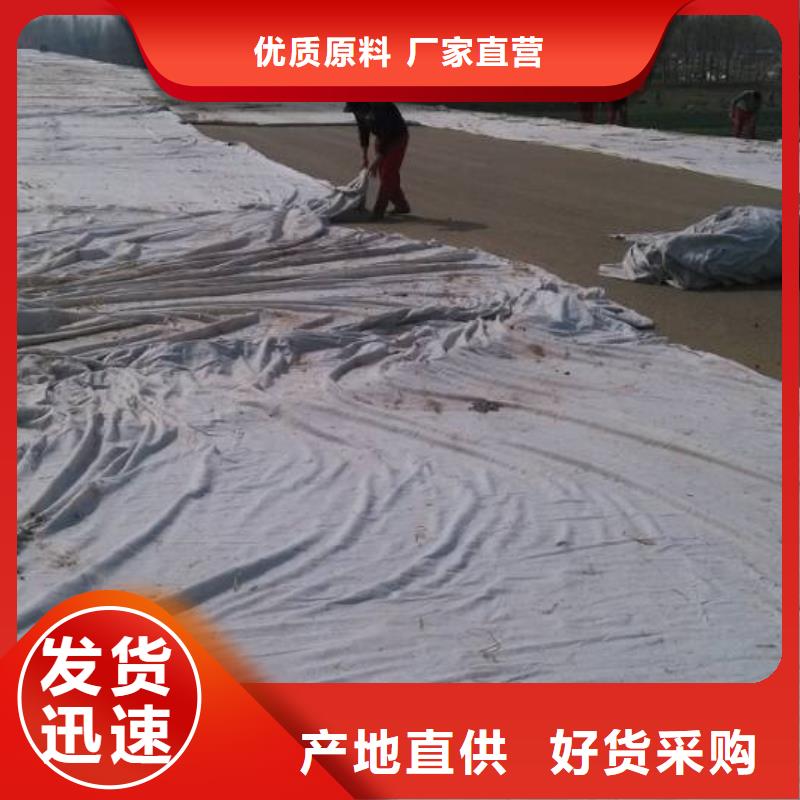 土工布三维土工网垫实力派厂家