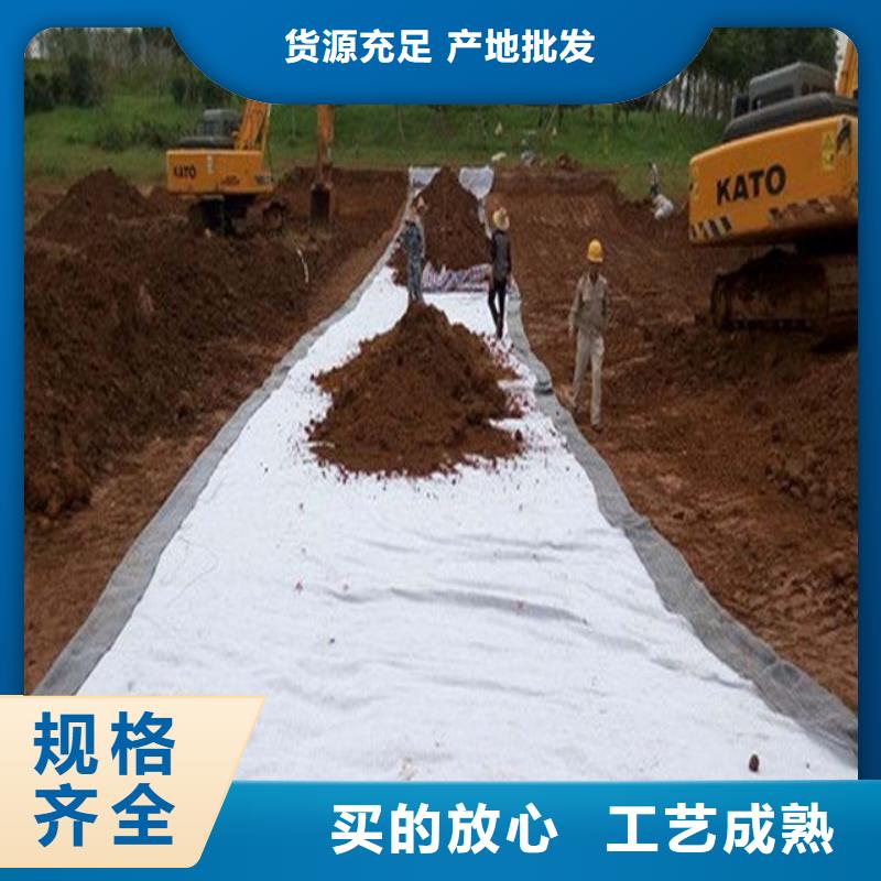 土工布单向塑料土工格栅可零售可批发