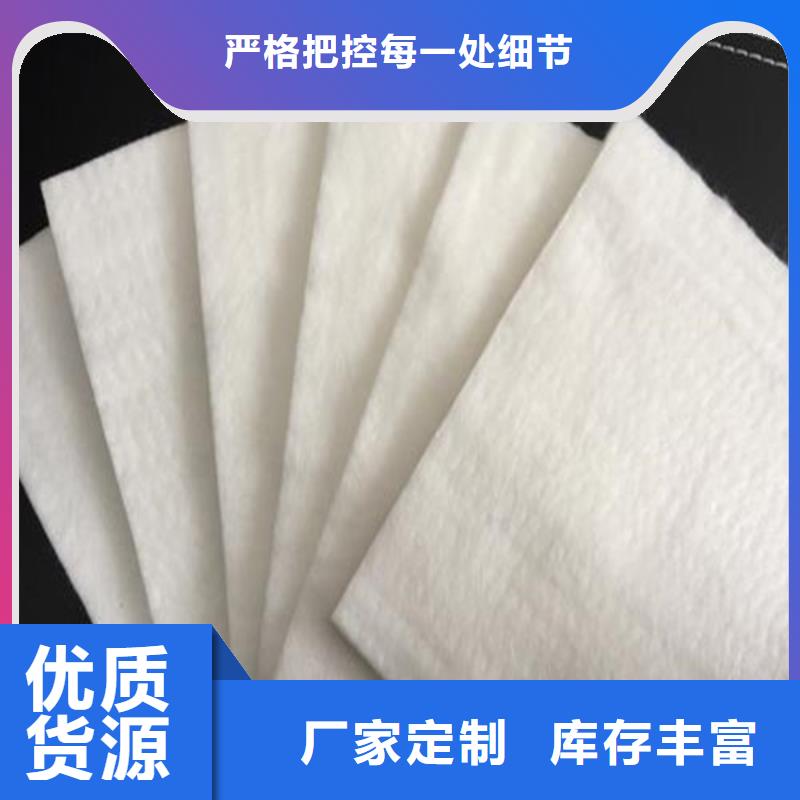 土工布凸结点钢塑土工格栅精挑细选好货