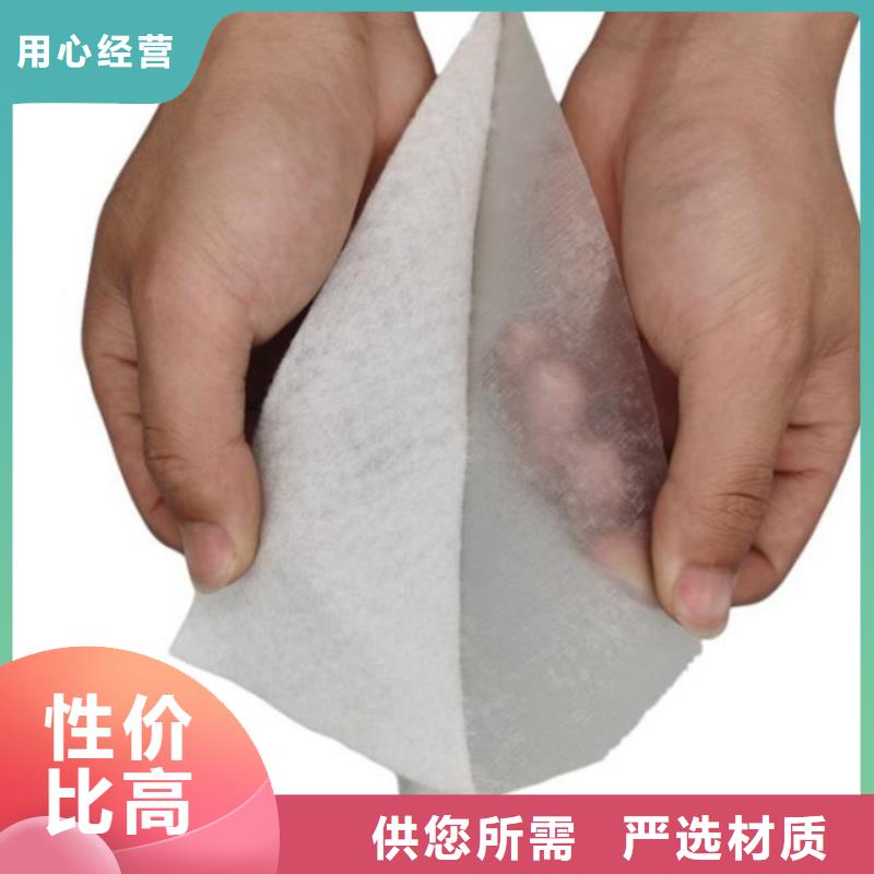土工布玻璃纤维土工格栅型号齐全