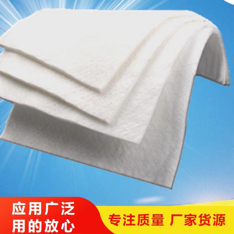 土工布-【三维土工网垫】一手货源源头厂家
