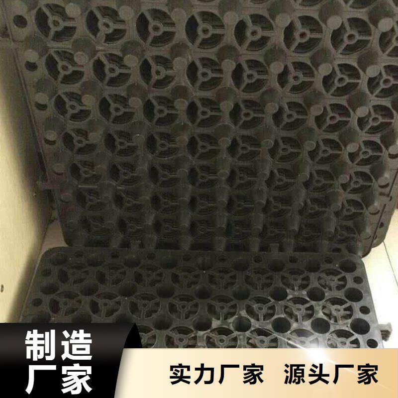 塑料排水板玻纤土工格栅品质服务
