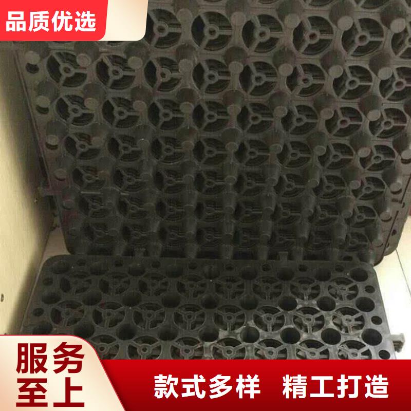 塑料排水板,土工席垫价格有优势