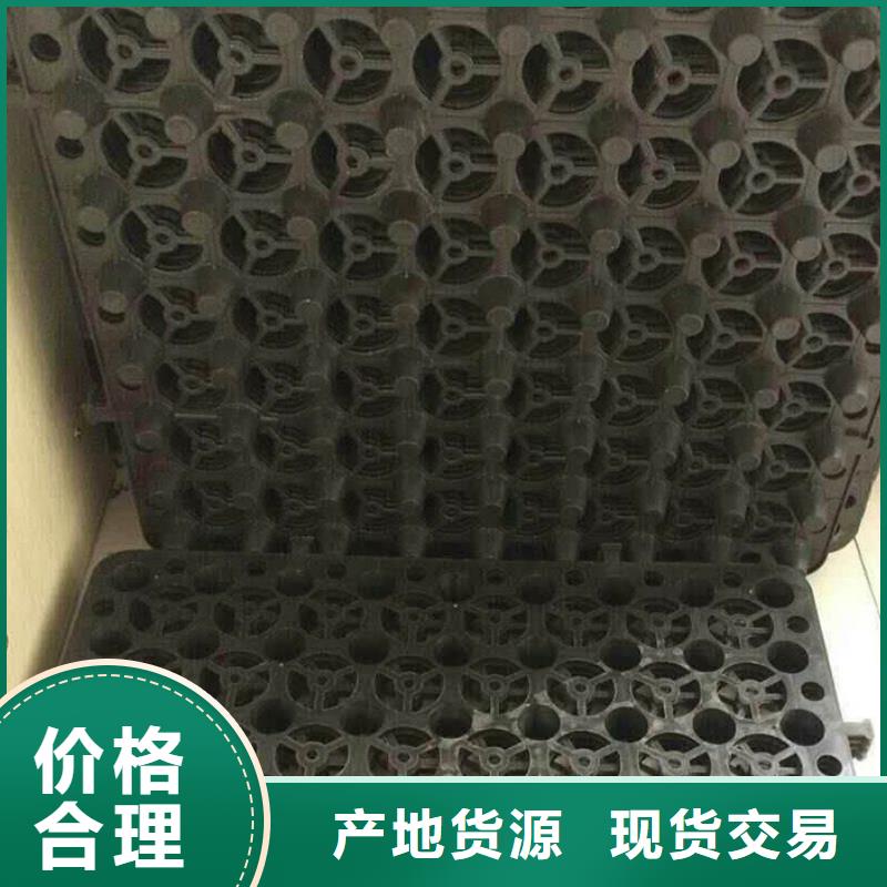 塑料排水板产品细节