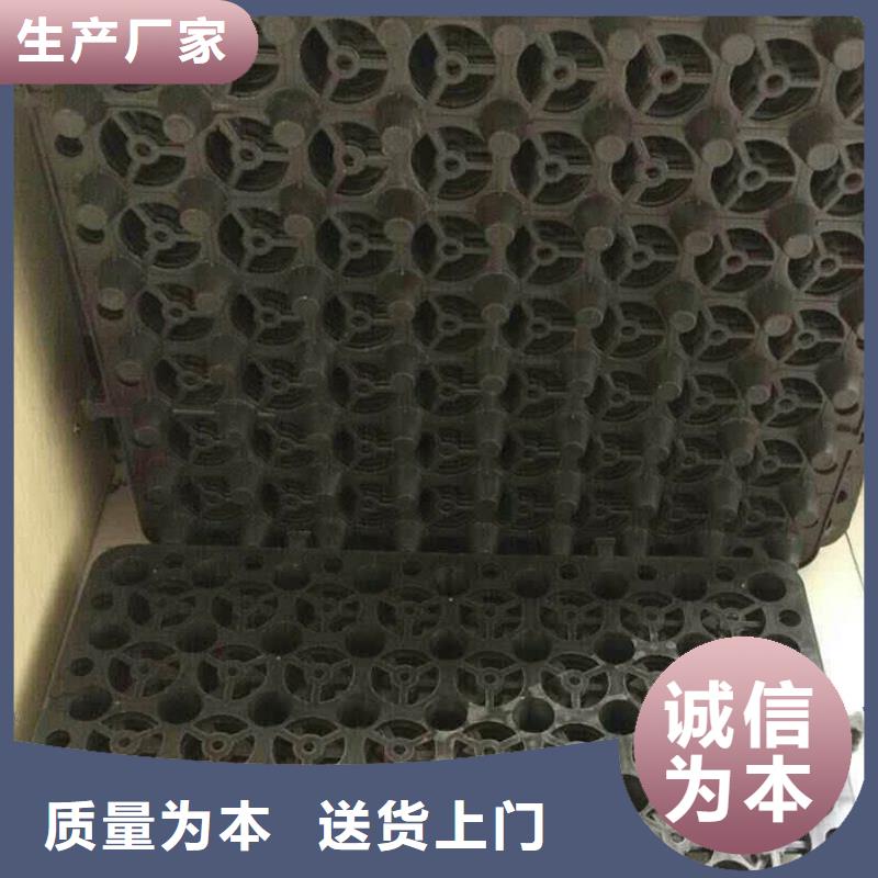 塑料排水板土工膜优质材料厂家直销