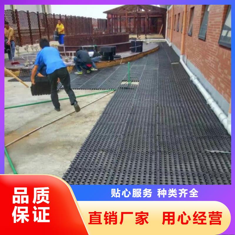 塑料排水板土工膜优质材料厂家直销