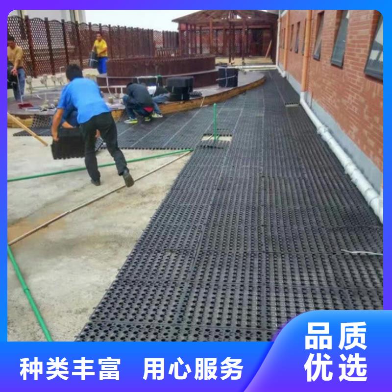 塑料排水板玻纤土工格栅品质服务
