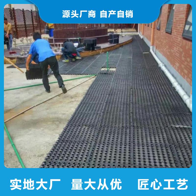 塑料排水板,土工席垫价格有优势